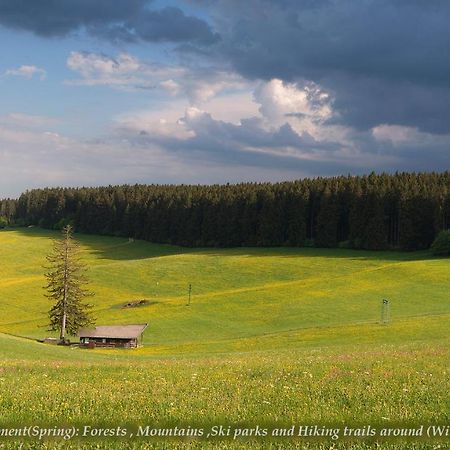 Villa Entire House In Schwarzwald With Mountain View, Private Gym,Sauna And Garden à Unterkirnach Extérieur photo