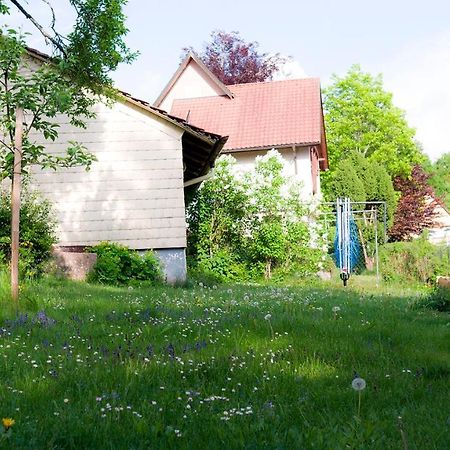 Villa Entire House In Schwarzwald With Mountain View, Private Gym,Sauna And Garden à Unterkirnach Extérieur photo