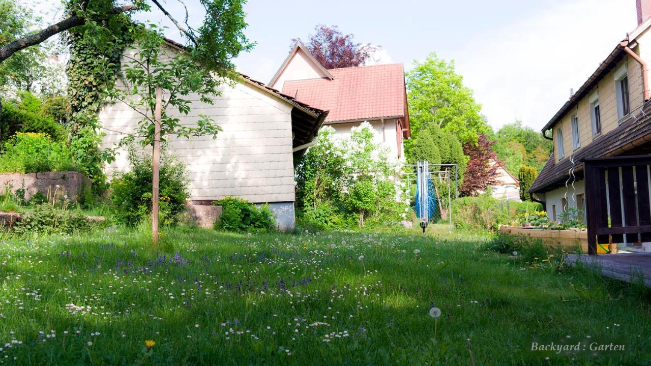 Villa Entire House In Schwarzwald With Mountain View, Private Gym,Sauna And Garden à Unterkirnach Extérieur photo