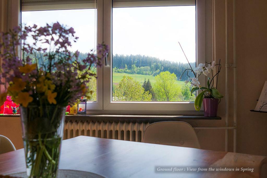 Villa Entire House In Schwarzwald With Mountain View, Private Gym,Sauna And Garden à Unterkirnach Extérieur photo