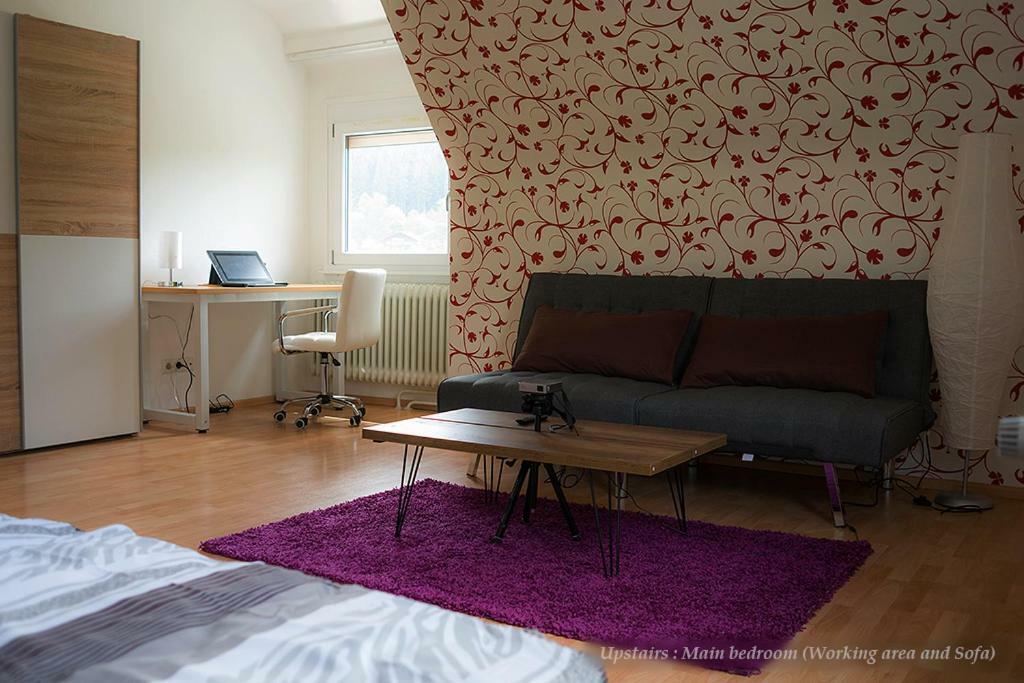 Villa Entire House In Schwarzwald With Mountain View, Private Gym,Sauna And Garden à Unterkirnach Extérieur photo